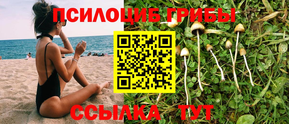 Псилоцибиновые грибы Cubensis  Вход с VPN  Псилоцибиновые грибы ЛСД  Муром 